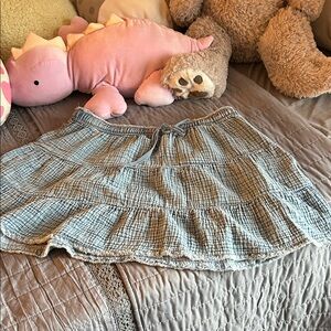 Aerie Blue Plaid Skater Skirt